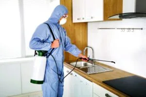 مكافحة حشرات