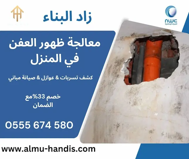 معالجة ظهور العفن في المنزل