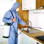 مكافحة حشرات